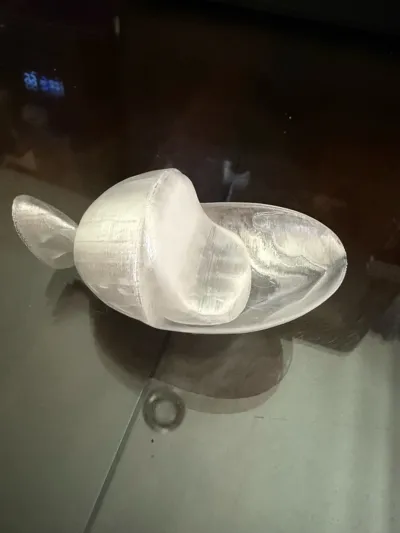 https://makerworld.bblmw.com/makerworld/model/1168040/1175859/ratings/50be5230-73f4-11f0-8d57-9bf07739bbdb.jpg
