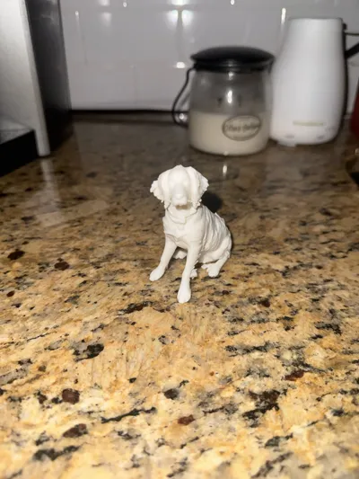 https://makerworld.bblmw.com/makerworld/model/1168811/1176758/ratings/85ced5d0-e091-11f0-920a-234949c3d8eb.jpg