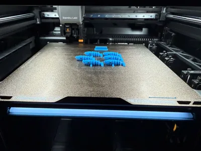 https://makerworld.bblmw.com/makerworld/model/1168953/1176928/ratings/b8e0d4f1-f6f8-11f0-9a08-05e4848f24b9.jpg