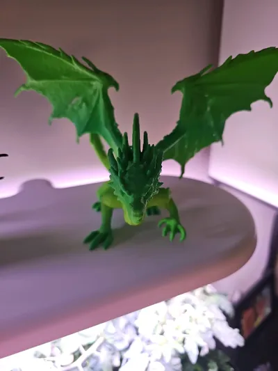 https://makerworld.bblmw.com/makerworld/model/1169244/1177259/ratings/bda49950-3960-11f0-82df-4bf19919414b.jpg
