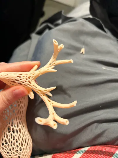 https://makerworld.bblmw.com/makerworld/model/116980/2137779/ratings/4f3b47f0-c251-11f0-89cd-217887f00ecc.jpg