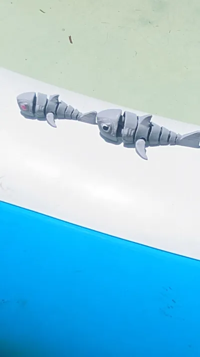https://makerworld.bblmw.com/makerworld/model/1170213/1178336/ratings/ce69cdb0-f913-11ef-9887-a7c86f21577a.jpg