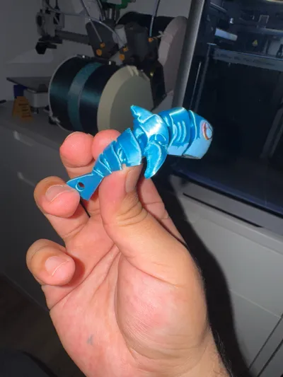 https://makerworld.bblmw.com/makerworld/model/1170213/1186436/ratings/5fed5420-51cd-11f0-9d73-b3ce314eacb9.jpg