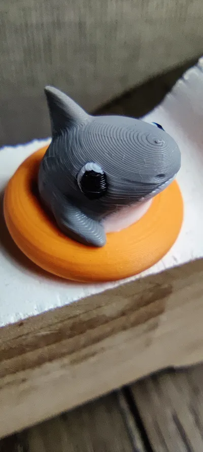 https://makerworld.bblmw.com/makerworld/model/1170261/1178393/ratings/bb27c960-fc1e-11ef-a062-eb3468b394b5.jpg
