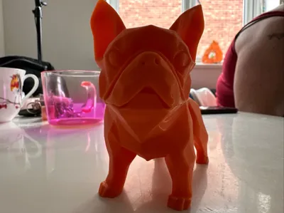 https://makerworld.bblmw.com/makerworld/model/1170835/1179062/ratings/50ec2840-2b1f-11f0-ad89-d75259cf0bb2.jpg
