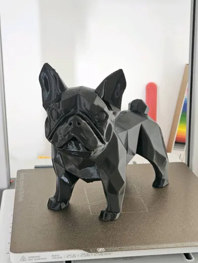 https://makerworld.bblmw.com/makerworld/model/1170835/1179062/ratings/8b8a8ff0-11fc-11f0-b7a5-d5476ec796f0.jpg