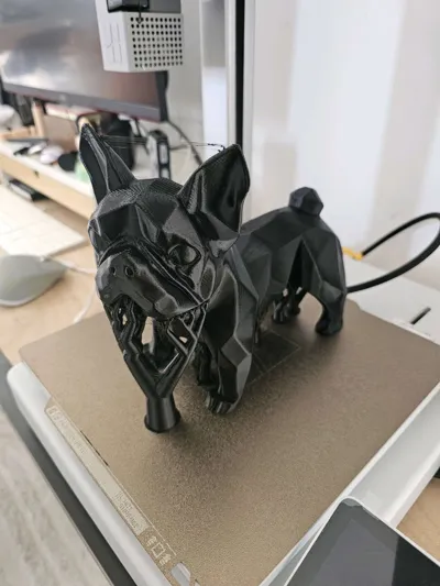 https://makerworld.bblmw.com/makerworld/model/1170835/1179062/ratings/8b936990-11fc-11f0-b7a5-d5476ec796f0.jpg