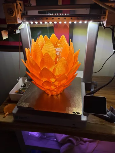 https://makerworld.bblmw.com/makerworld/model/1170887/1179125/ratings/c4e85300-4b67-11f0-a852-1946f1a414f2.jpg