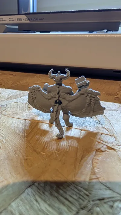 https://makerworld.bblmw.com/makerworld/model/1173039/1181611/ratings/098b5d30-face-11ef-808a-dd11f1c81f73.jpg