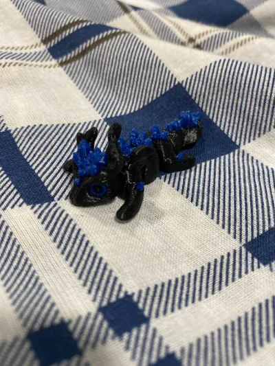 https://makerworld.bblmw.com/makerworld/model/1173130/1181724/ratings/5dc40440-dde2-11f0-982f-0bd512447f49.jpg