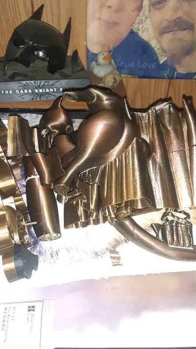 https://makerworld.bblmw.com/makerworld/model/117365/126177/ratings/93fbed20-f499-11f0-8421-9904711821e9.jpg