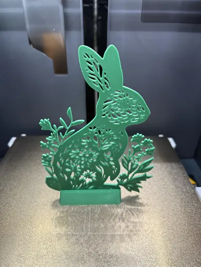 https://makerworld.bblmw.com/makerworld/model/1174752/1183708/ratings/e2281240-ff9d-11ef-a23c-cb358315472f.jpg