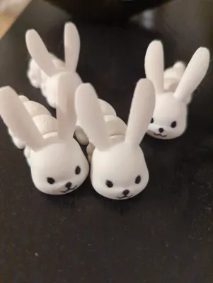 https://makerworld.bblmw.com/makerworld/model/1174770/1183733/ratings/9a8e7c70-08fe-11f0-859f-5f809db32c76.jpg