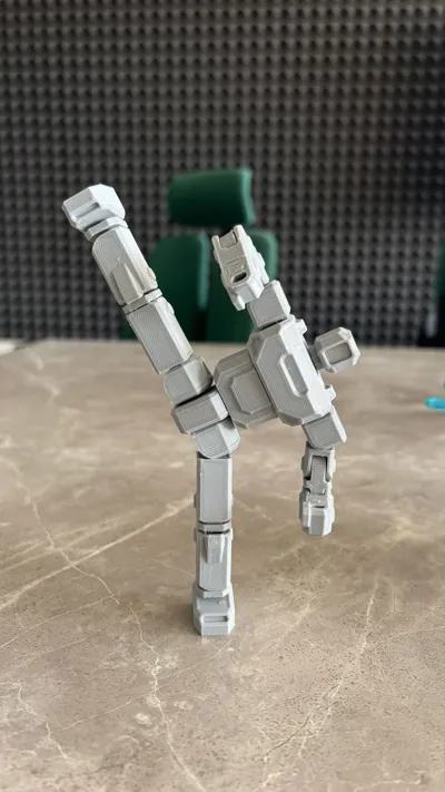 https://makerworld.bblmw.com/makerworld/model/117513/137196/ratings/c1956de0-16b6-11f0-9211-bd876432426f.jpg