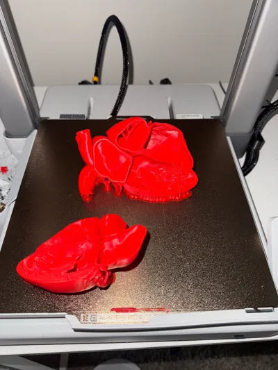 https://makerworld.bblmw.com/makerworld/model/1175856/1259682/ratings/29fcfd20-209f-11f0-a8d4-a52e3e64e2ca.jpg