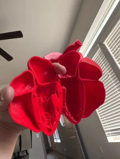 https://makerworld.bblmw.com/makerworld/model/1175856/1259682/ratings/2a007f90-209f-11f0-a8d4-a52e3e64e2ca.jpg