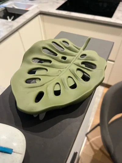 https://makerworld.bblmw.com/makerworld/model/1177334/1186731/ratings/aa473010-1cf6-11f0-9e0c-af13c97eeab3.jpg