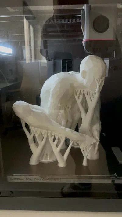 https://makerworld.bblmw.com/makerworld/model/1177459/1186835/ratings/3ad585d0-1470-11f0-9874-218ba7708e69.jpg