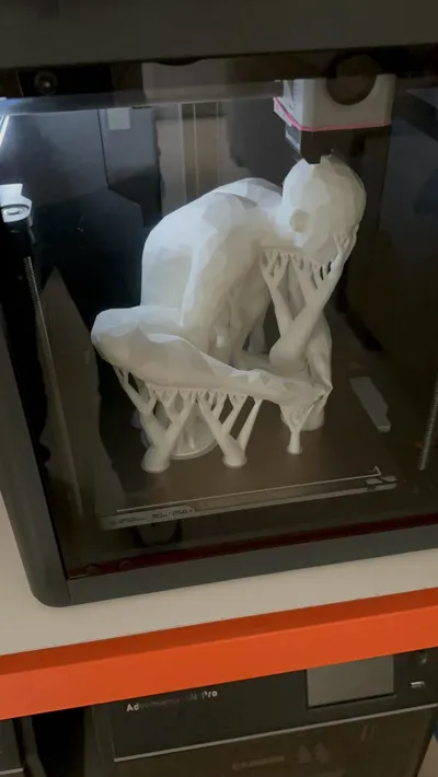 https://makerworld.bblmw.com/makerworld/model/1177459/1186835/ratings/3b5193a0-1470-11f0-9874-218ba7708e69.jpg