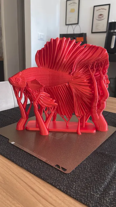 https://makerworld.bblmw.com/makerworld/model/1177629/1187046/ratings/85ce5270-e377-11f0-839d-85a35c74d37b.jpg