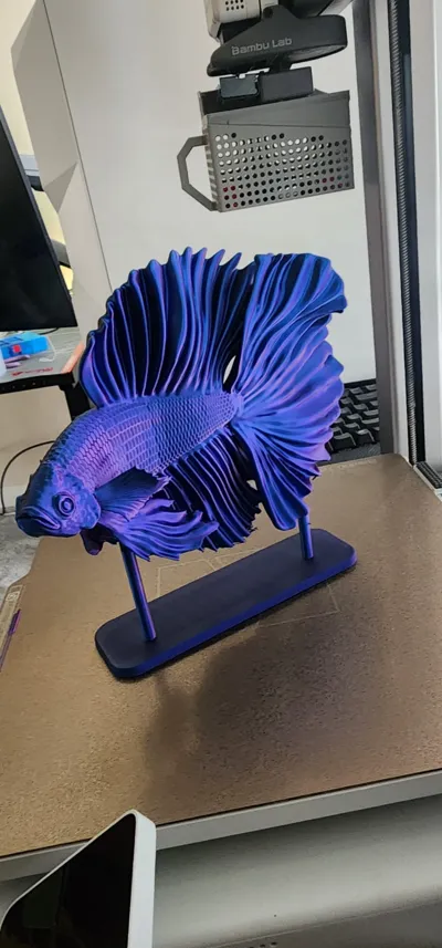 betta fish by Nik12_ocb MakerWorld: Download Free 3D Models