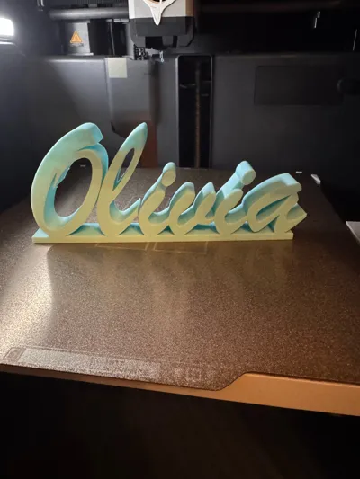 https://makerworld.bblmw.com/makerworld/model/1178264/1187840/ratings/39d5ee10-d3b8-11f0-aa18-7fe36b28b345.jpg
