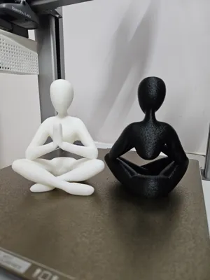 https://makerworld.bblmw.com/makerworld/model/1178403/1188028/ratings/8c980fb0-fc00-11ef-bdbb-c3d3b469e84e.jpg