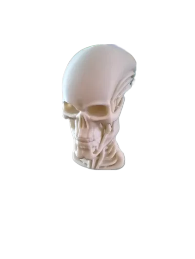 https://makerworld.bblmw.com/makerworld/model/1179253/1189119/ratings/37c904c0-fbe8-11ef-8450-4b4333fafcb5.png