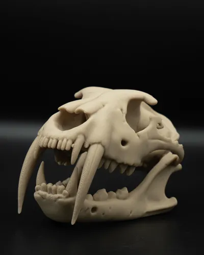 https://makerworld.bblmw.com/makerworld/model/1179800/1220198/ratings/048c5f90-8a3a-11f0-9b66-31fbc6e46d2d.jpg