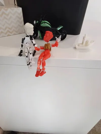 https://makerworld.bblmw.com/makerworld/model/1181950/1192348/ratings/47f3d3b0-17fa-11f0-9837-bf3d11928859.jpg