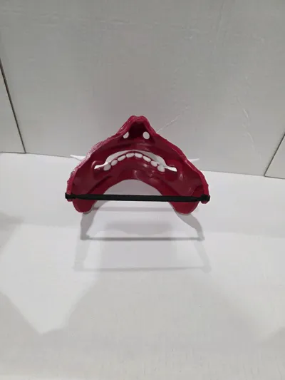 https://makerworld.bblmw.com/makerworld/model/1183708/1194345/ratings/064cde50-c882-11f0-b51e-a556733b1ab0.jpg