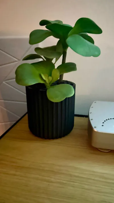 https://makerworld.bblmw.com/makerworld/model/1183725/1194367/ratings/9e91a2b0-4f5e-11f0-ac88-a51a812b5701.jpg
