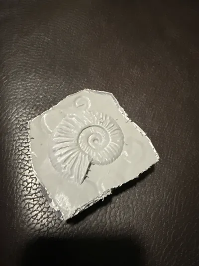 https://makerworld.bblmw.com/makerworld/model/1183777/1252192/ratings/ba764f30-1d45-11f0-934a-cbc11279d1b5.jpg