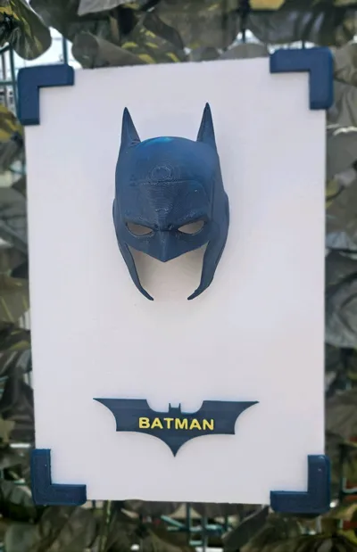 https://makerworld.bblmw.com/makerworld/model/1183887/1194533/ratings/898cee10-79ed-11f0-a177-f52e4df932d5.jpg