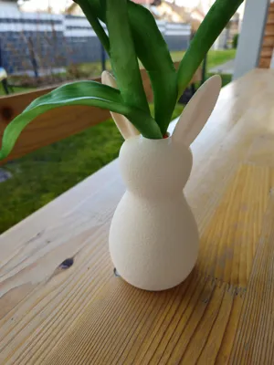 https://makerworld.bblmw.com/makerworld/model/1184230/1194986/ratings/c659aa90-09ae-11f0-910e-57abb85e6d17.jpg