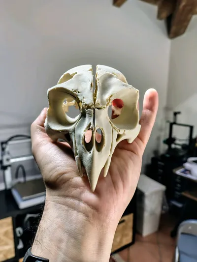 https://makerworld.bblmw.com/makerworld/model/1184484/1195308/ratings/4f0a8030-0ef5-11f0-baf1-557e89a47f86.jpg