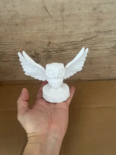 https://makerworld.bblmw.com/makerworld/model/1184504/1195346/ratings/1653cbb0-13c9-11f0-9ff5-f3c38d000a9b.jpg