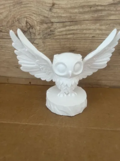 https://makerworld.bblmw.com/makerworld/model/1184504/1195346/ratings/165467f0-13c9-11f0-9ff5-f3c38d000a9b.jpg