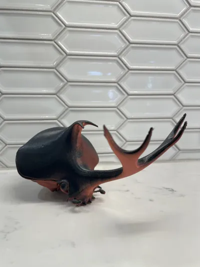 https://makerworld.bblmw.com/makerworld/model/1184787/1195858/ratings/409df150-0692-11f0-a6d5-2bf25998fd3e.jpg