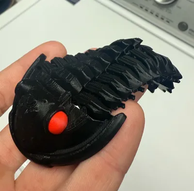 https://makerworld.bblmw.com/makerworld/model/1184968/1195853/ratings/85c92de0-a182-11f0-a473-8dcdea6285c0.jpg