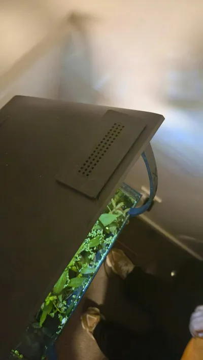 https://makerworld.bblmw.com/makerworld/model/118551/127464/ratings/86648a90-720e-11f0-acaa-c993e5aaf283.jpg