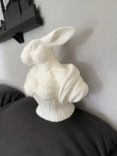 https://makerworld.bblmw.com/makerworld/model/1185676/1196637/ratings/d1379cb0-fd92-11ef-80e0-5f0ef95e2f75.jpg