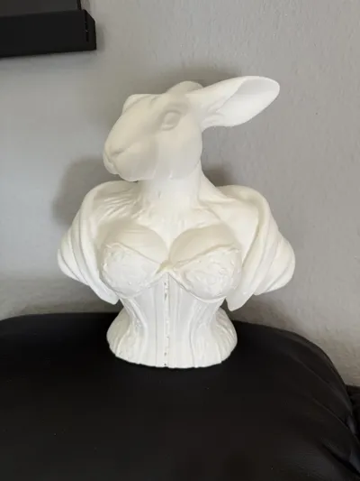 https://makerworld.bblmw.com/makerworld/model/1185676/1196637/ratings/d15759b0-fd92-11ef-80e0-5f0ef95e2f75.jpg