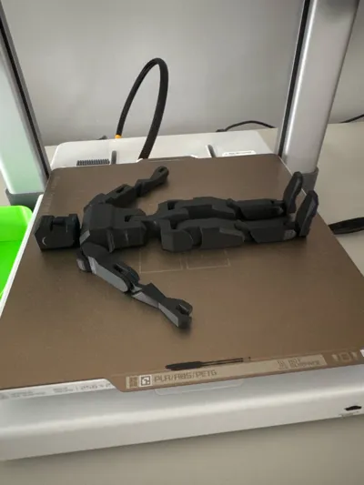 https://makerworld.bblmw.com/makerworld/model/1186233/1262144/ratings/fe398540-3378-11f0-b425-c7f5639dc531.jpg