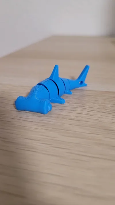 https://makerworld.bblmw.com/makerworld/model/1187150/1291972/ratings/dfa0a7e0-a2df-11f0-ba88-03ff8e51a042.jpg