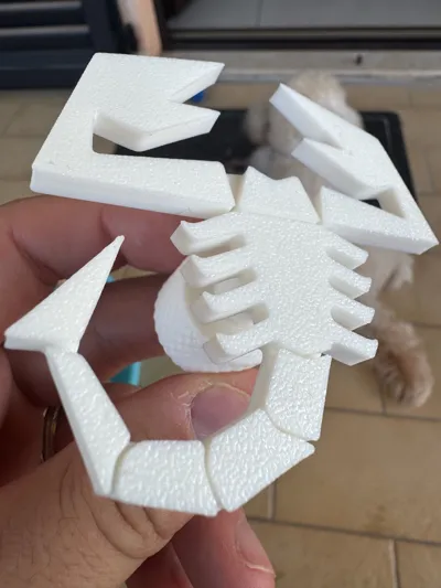 https://makerworld.bblmw.com/makerworld/model/1187271/1198457/ratings/58516a70-5903-11f0-a3d5-6f539eff8bfe.jpg