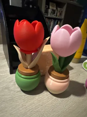 https://makerworld.bblmw.com/makerworld/model/1187372/1198586/ratings/74792f50-01db-11f0-becf-1935dee81ab3.jpg