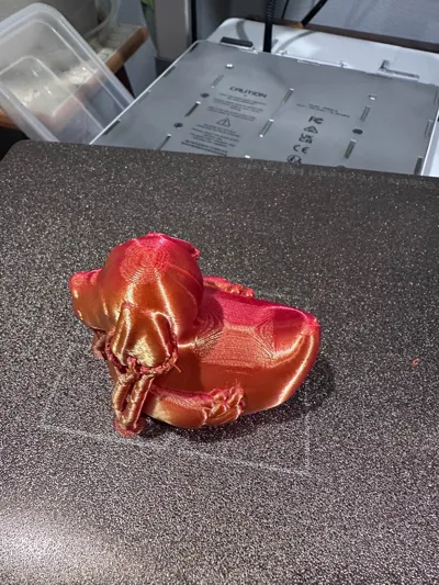 https://makerworld.bblmw.com/makerworld/model/1187741/1227374/ratings/baaa9010-18db-11f0-9cd6-3938afb420fd.jpg