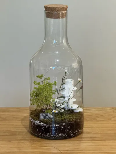 https://makerworld.bblmw.com/makerworld/model/1187940/1199258/ratings/d741b830-8248-11f0-8927-35b1fb89cb76.jpg