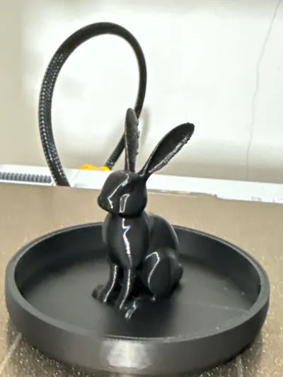 https://makerworld.bblmw.com/makerworld/model/1188454/1199811/ratings/f95a0130-f231-11f0-b3e0-79e45ded1f6f.jpg